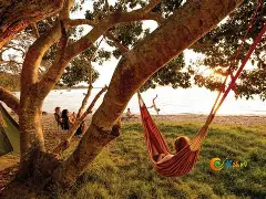 爱游戏-亚太车险靠谱吗